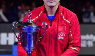 樊振东世界杯冠军几次